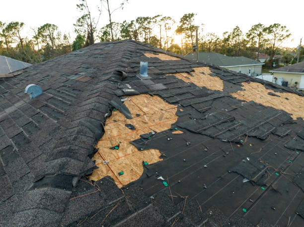 Skylights in Birdsboro, PA